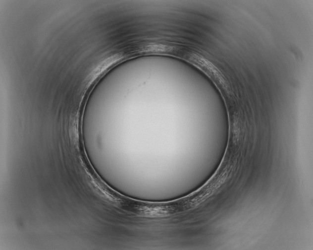 X0000112930794200909071032