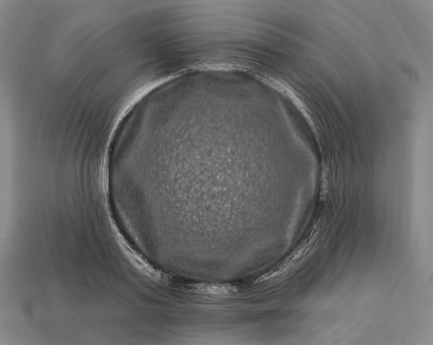 X0000112930795200909071032