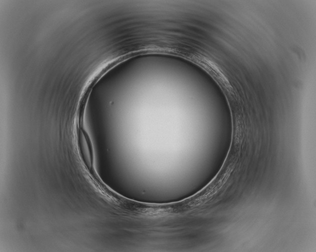 X0000112930796200909071032