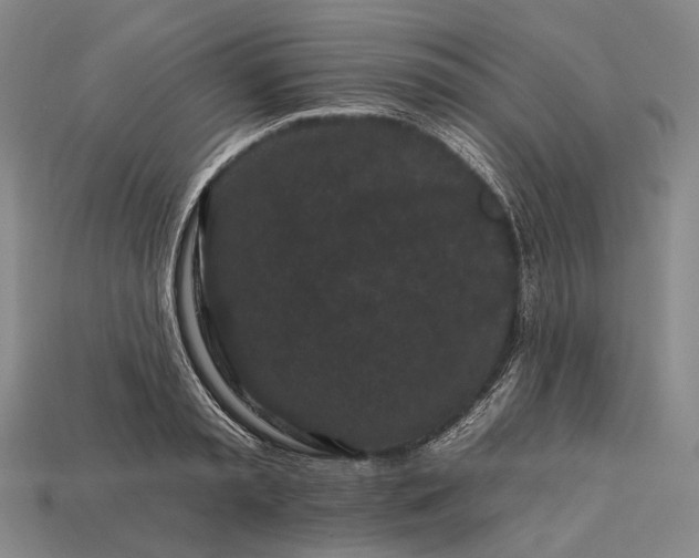 X0000112930797200909071032