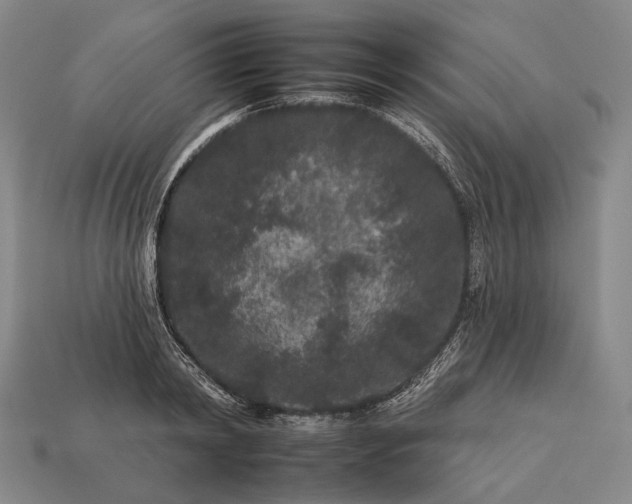 X0000112930798200909071032