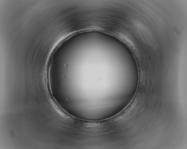 X0000112930800200909071032