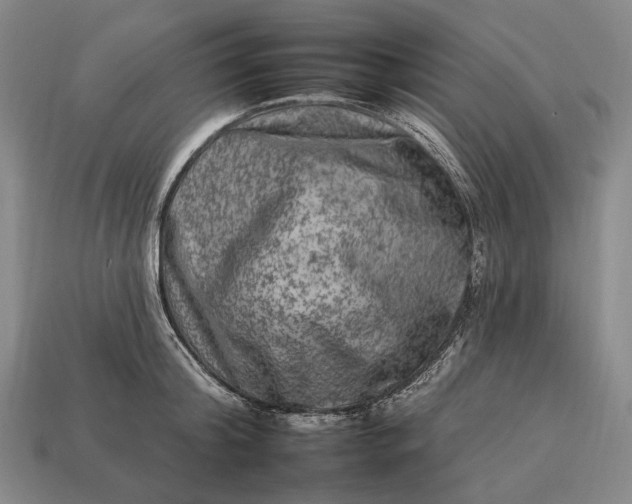 X0000112930804200909071032