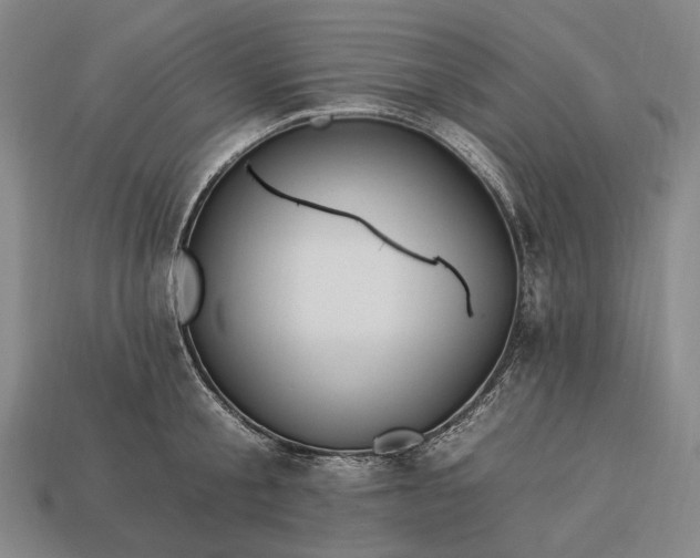 X0000112930805200909071032