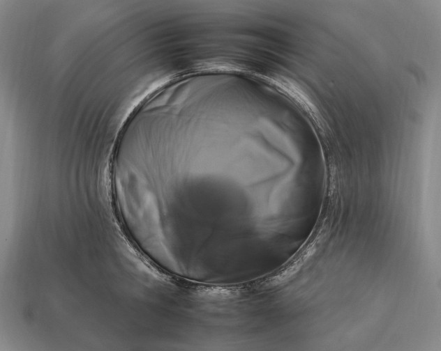 X0000112930806200909071032