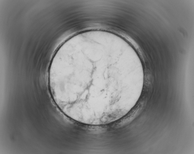 X0000112930807200909071032