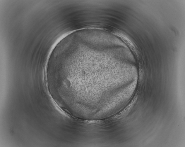 X0000112930808200909071032