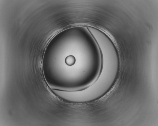 X0000112930809200909071032