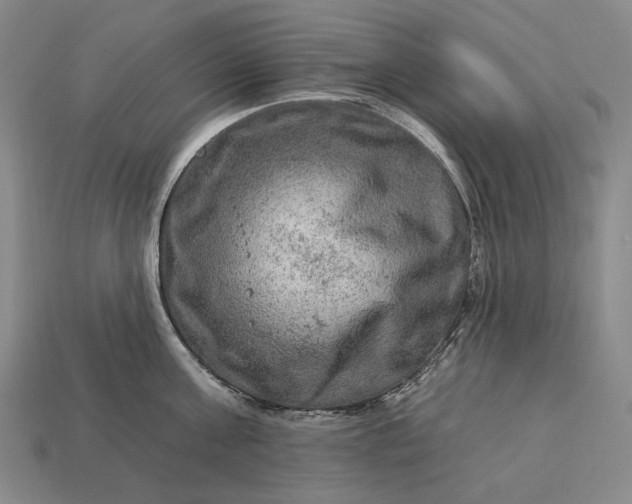 X0000112930811200909071032