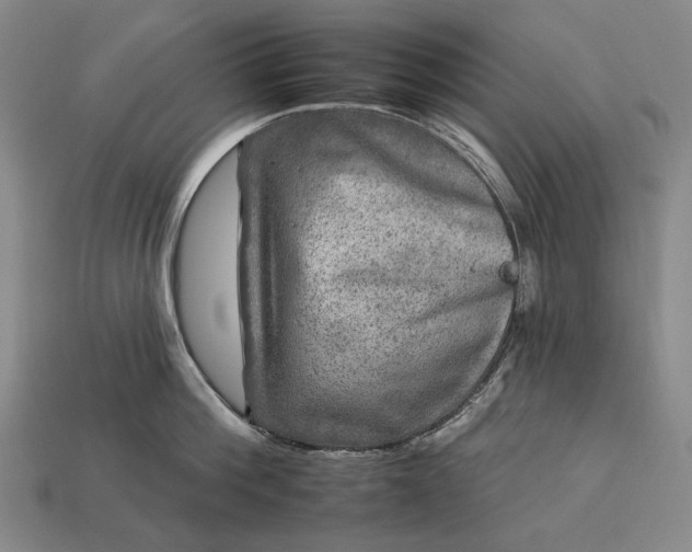 X0000112930812200909071032