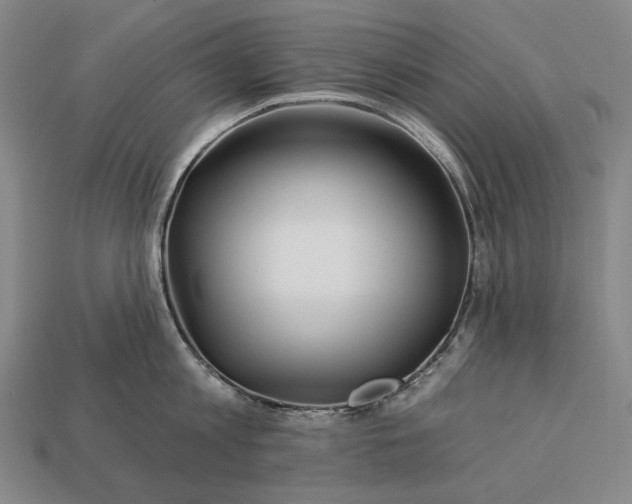 X0000112930813200909071032