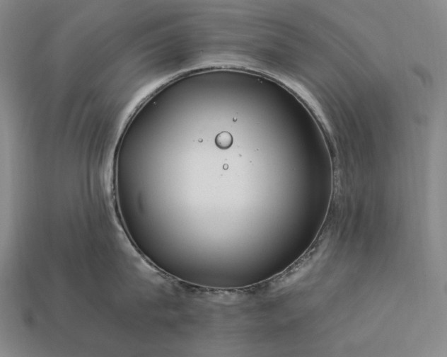 X0000112930815200909071032