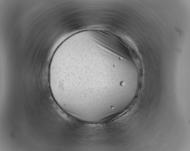 X0000112930816200909071032