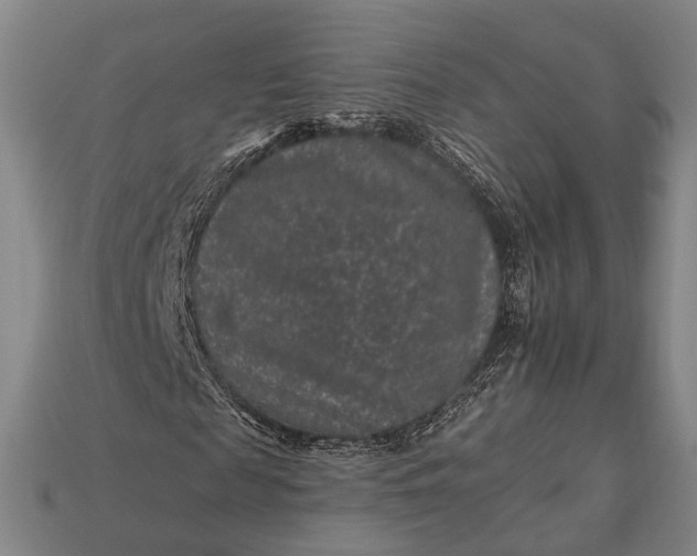 X0000112930817200909071031