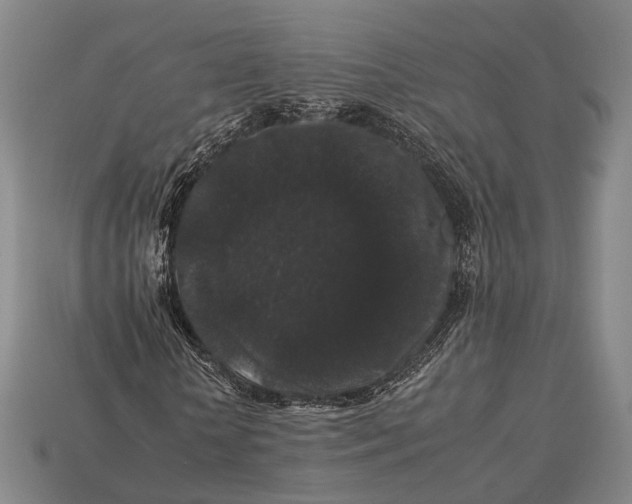 X0000112930818200909071031