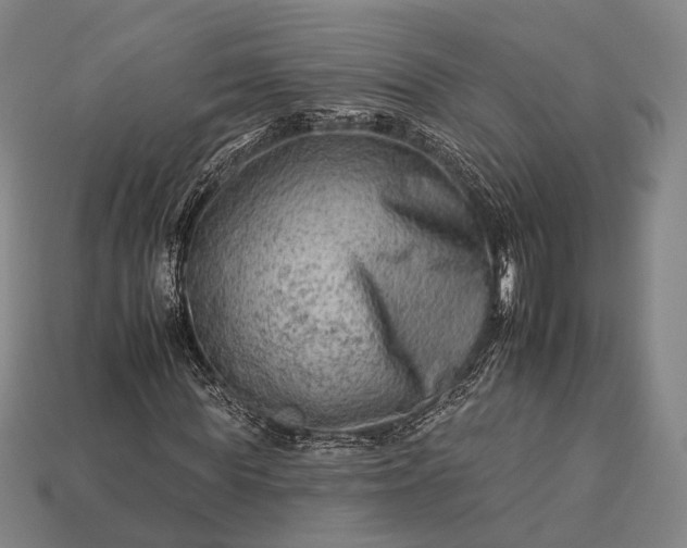 X0000112930819200909071031