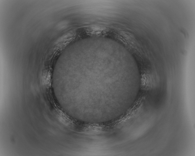 X0000112930820200909071031