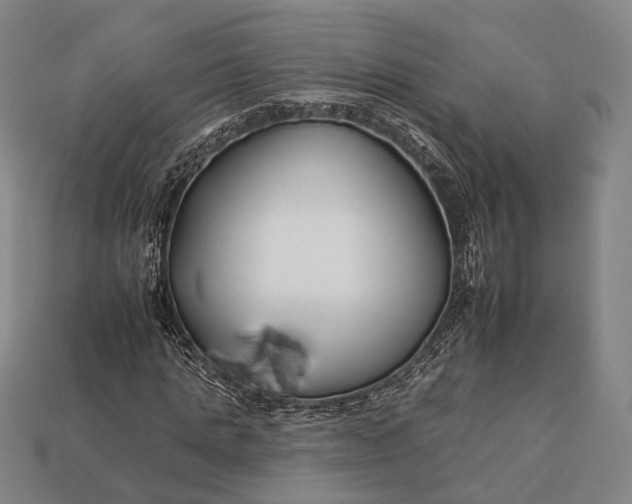 X0000112930821200909071031