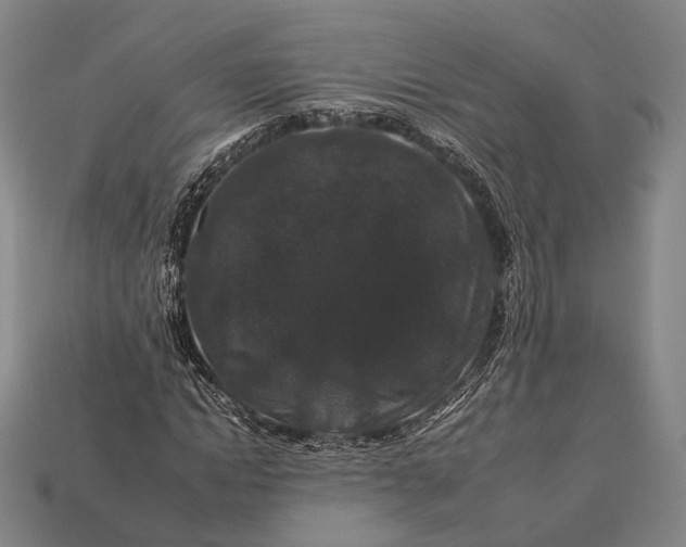 X0000112930822200909071031