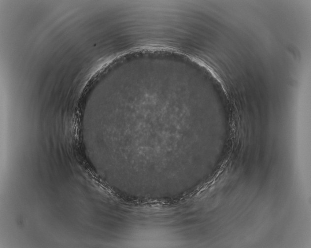 X0000112930823200909071031