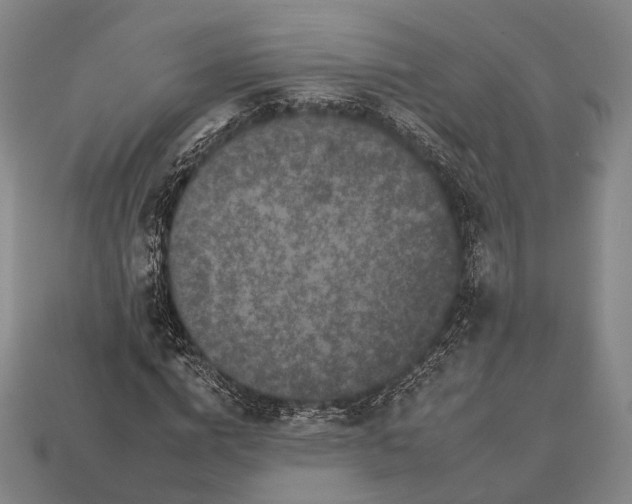 X0000112930824200909071031