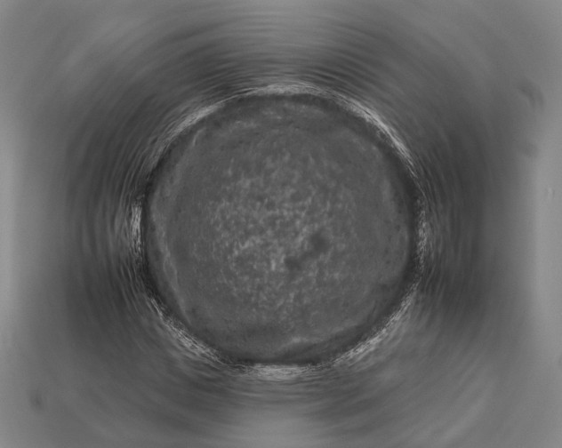 X0000112930825200909071031