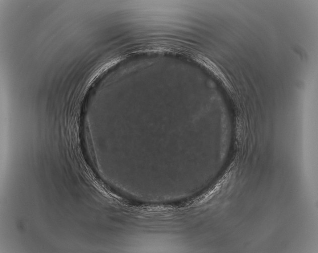 X0000112930826200909071031