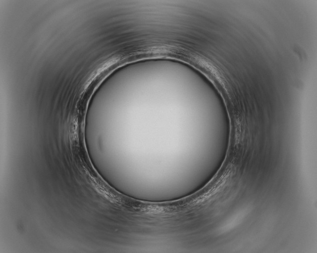 X0000112930827200909071031