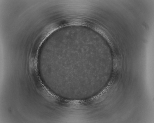 X0000112930828200909071031