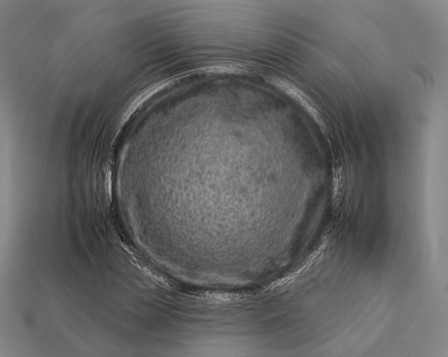 X0000112930829200909071031