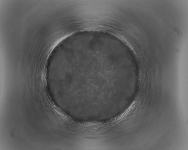 X0000112930830200909071031