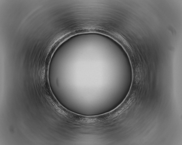 X0000112930831200909071031