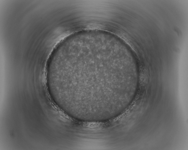 X0000112930832200909071031