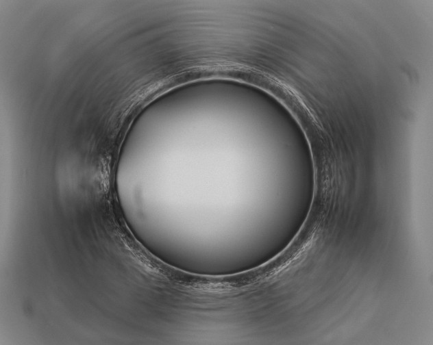 X0000112930833200909071031