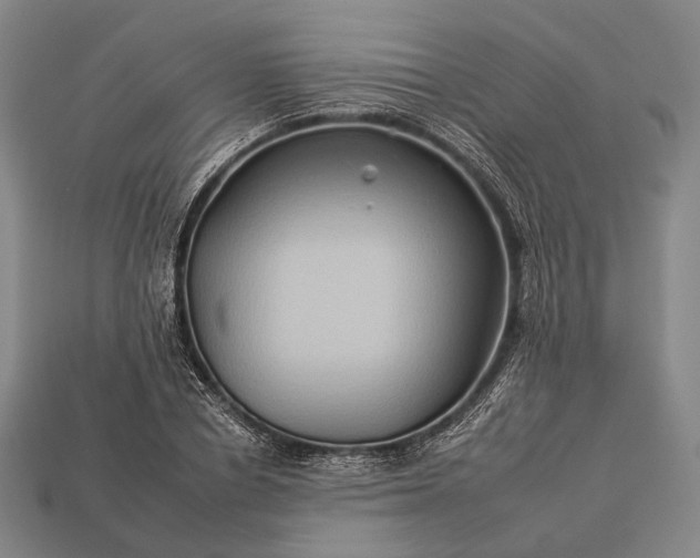 X0000112930834200909071032