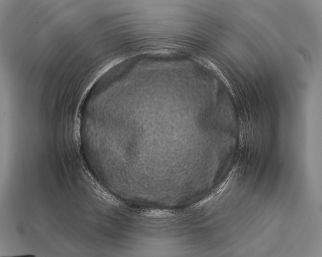 X0000112930835200909071032