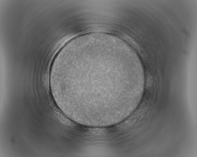 X0000112930836200909071032