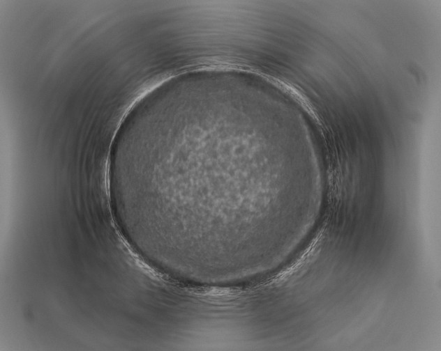 X0000112930839200909071032