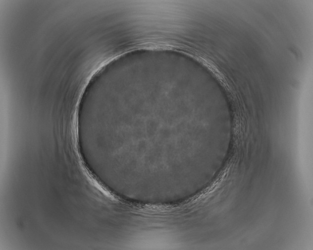 X0000112930840200909071032