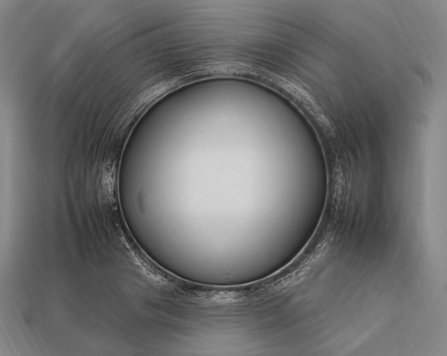 X0000112930841200909071032