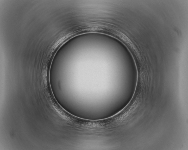 X0000112930842200909071032