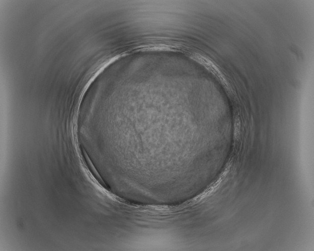 X0000112930844200909071032