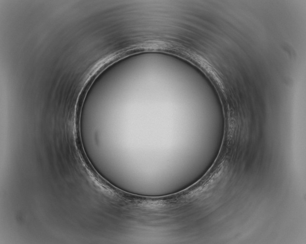 X0000112930845200909071032