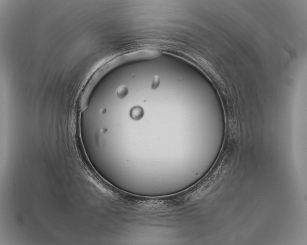 X0000112930846200909071032