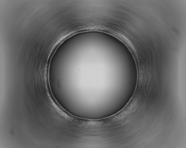 X0000112930847200909071032