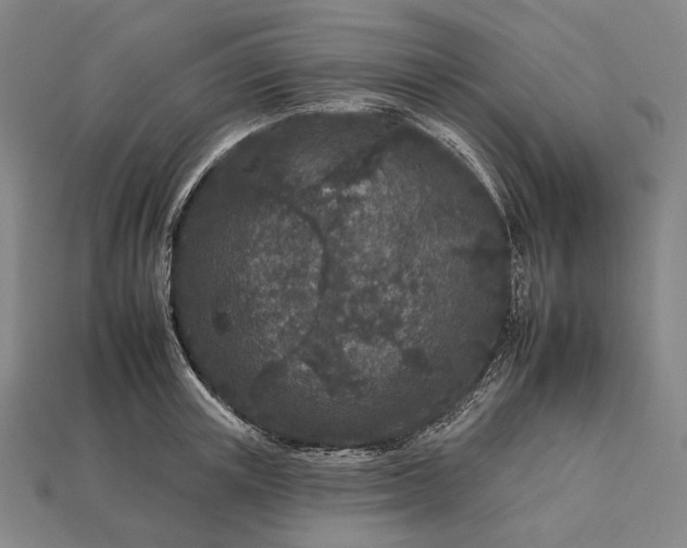 X0000112930851200909071032