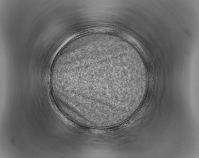 X0000112930852200909071032