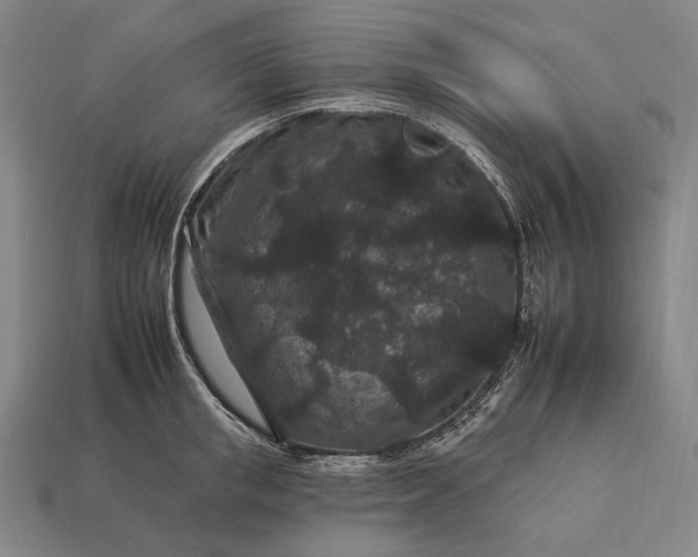 X0000112930853200909071032