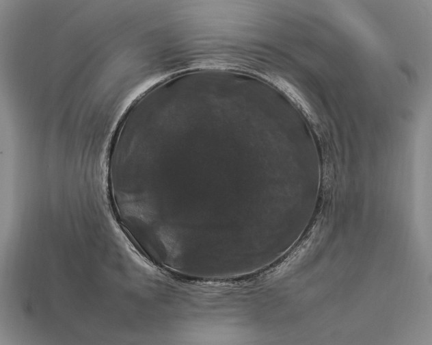 X0000112930854200909071032