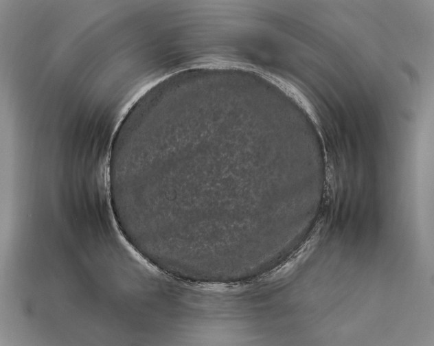 X0000112930855200909071032